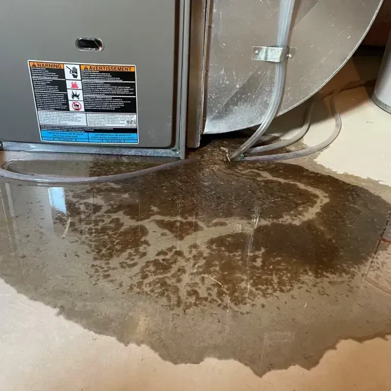 Appliance Leak Cleanup in Wink, TX